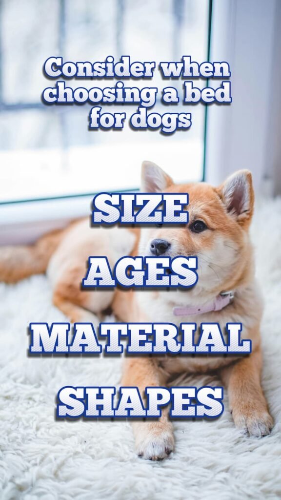 Factors to consider when choosing dog bed