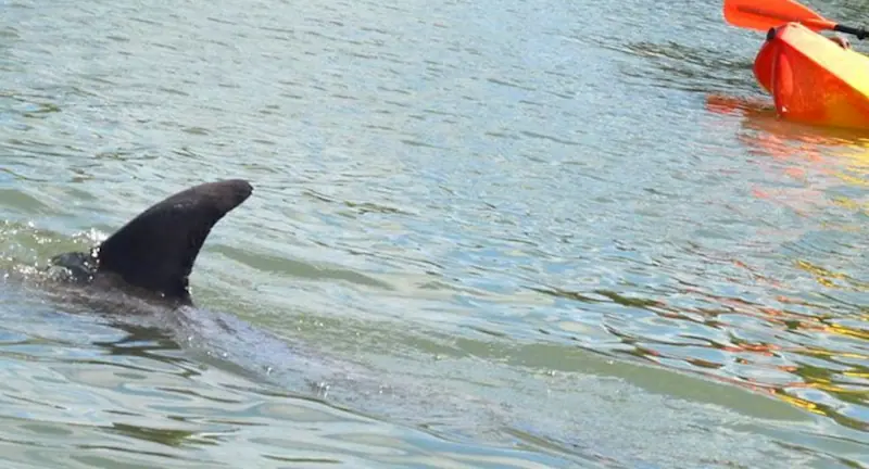 Lovers Key State Park kayaking