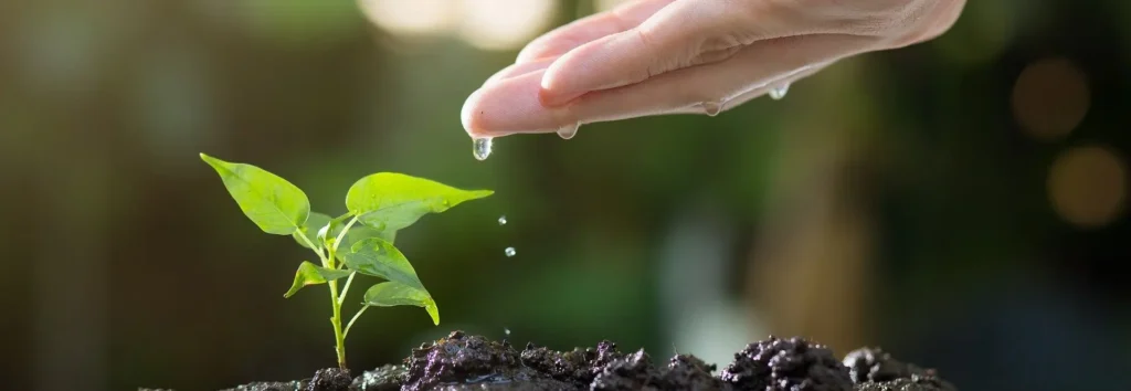 gardening for slow lifestyle