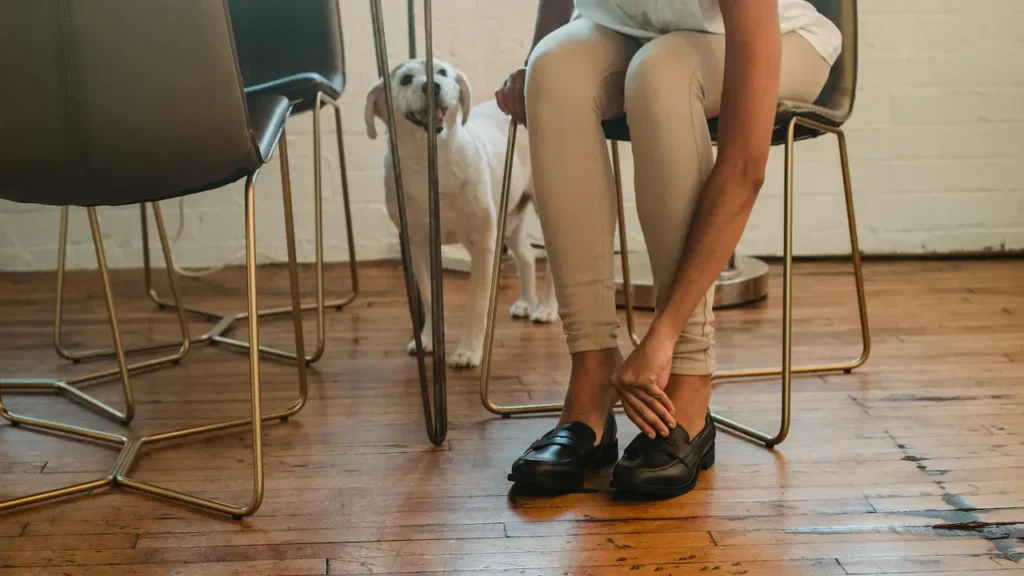 Choose House Shoes