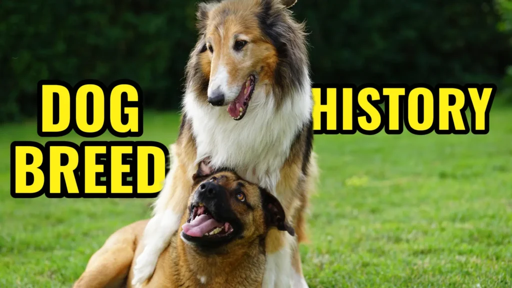 DOG BREED HISTORY