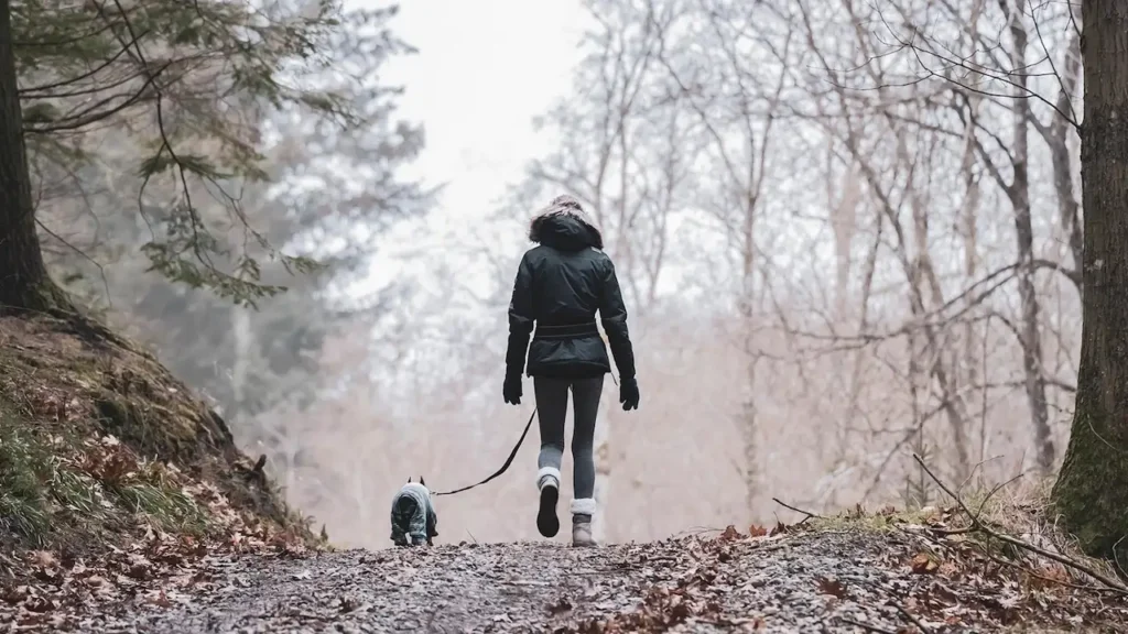 Dog-Friendly Vacation Spots