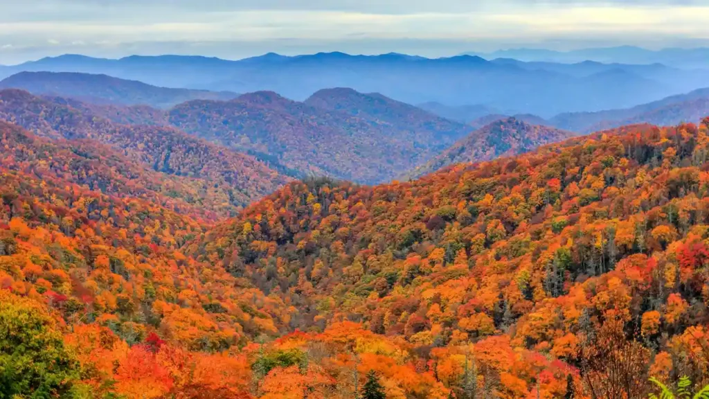 Great Smoky Mountains National Park