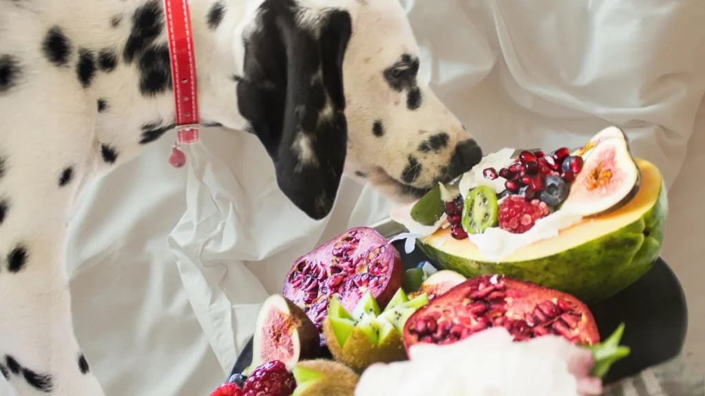 Homemade Dog Treats