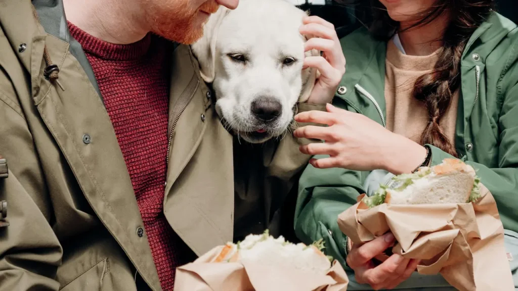 budget friendly dog food