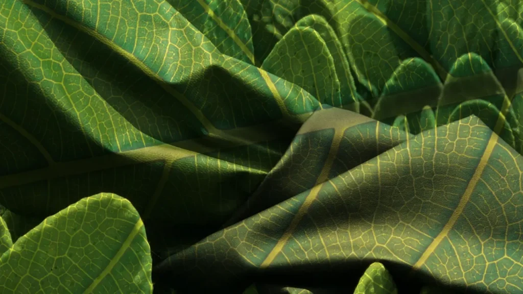 plant based leather