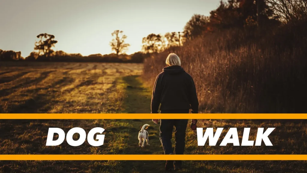 DOG WALKING