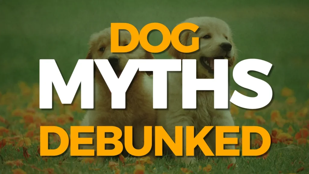Dog Myths Debunked