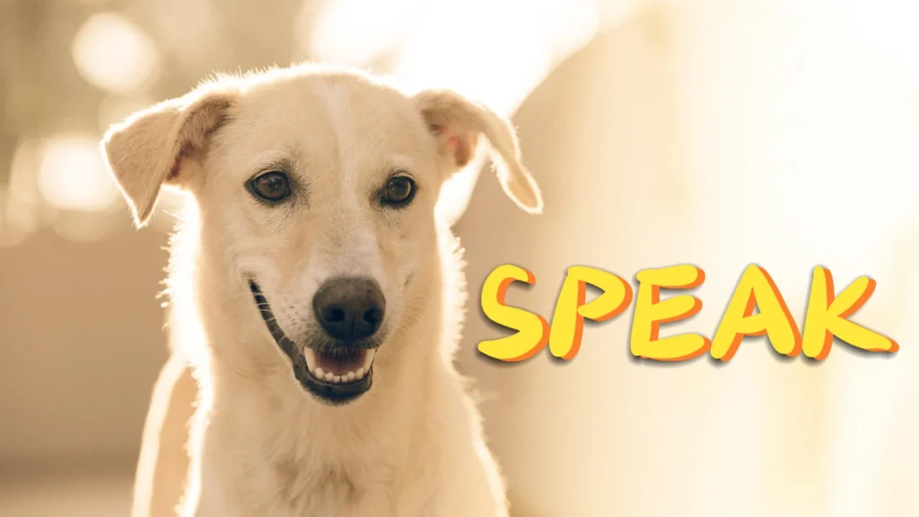 SPEAK TRAINING FOR DOGS