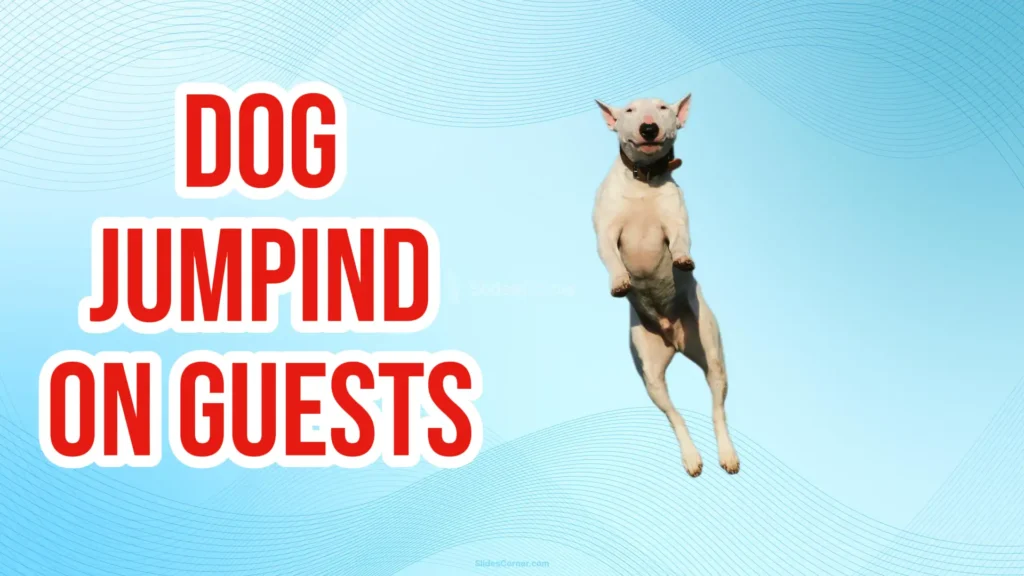 dog jumping on guests