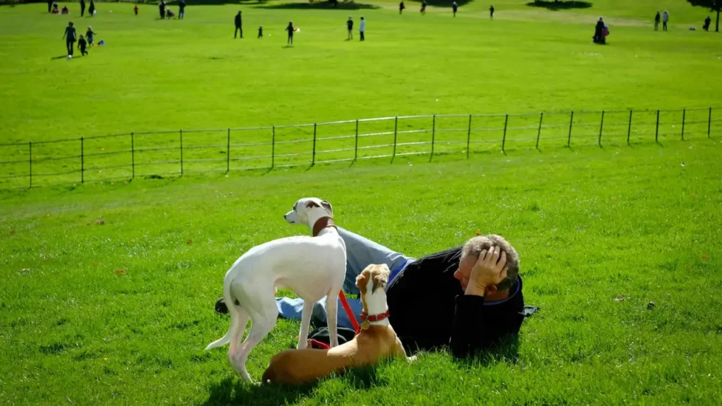 off leash dog park