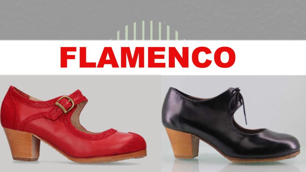 Flamenco shoes for dance