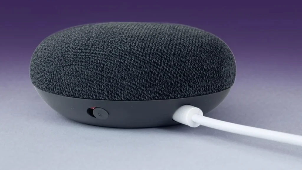 Delete Voice History on Google Home